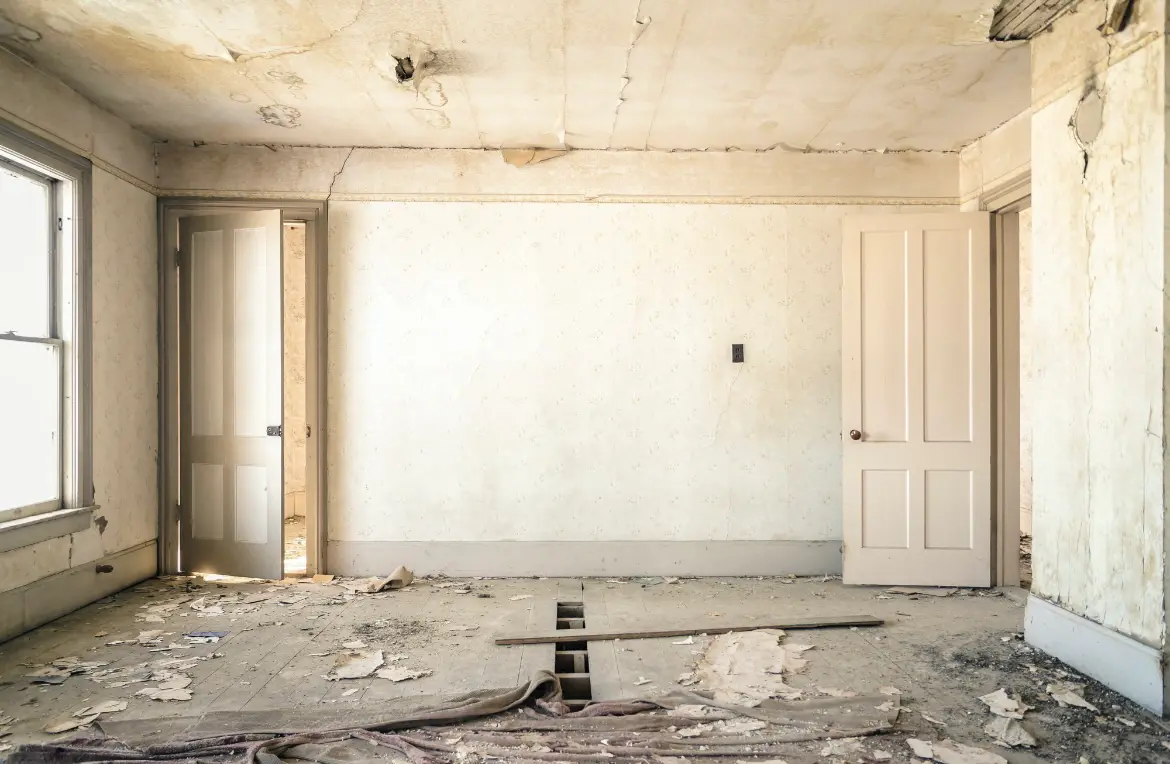 Waste disposal crew managing a cleanout project in Bellwood